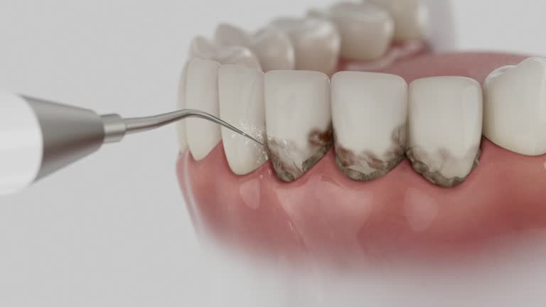 Reliable Dental contractor in Escambia County County, FL by Dentist Open Now